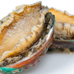 Bào Ngư Hàn Quốc Đông Lạnh Cao Cấp – Tươi Ngon Chuẩn Vị Biển | Bfoods