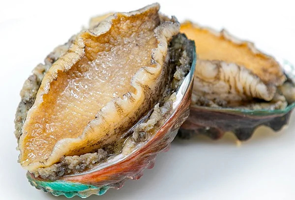 Bào Ngư Hàn Quốc Đông Lạnh Cao Cấp – Tươi Ngon Chuẩn Vị Biển | Bfoods