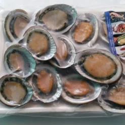 Bào ngư Việt Nam