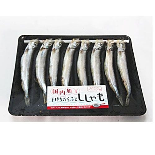 Cá Trứng Shishamo 8 Con