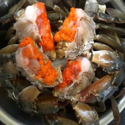 Cua Gạch Cà Mau Không Dây