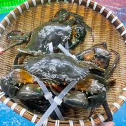 Cua Thịt Cà Mau Không Dây